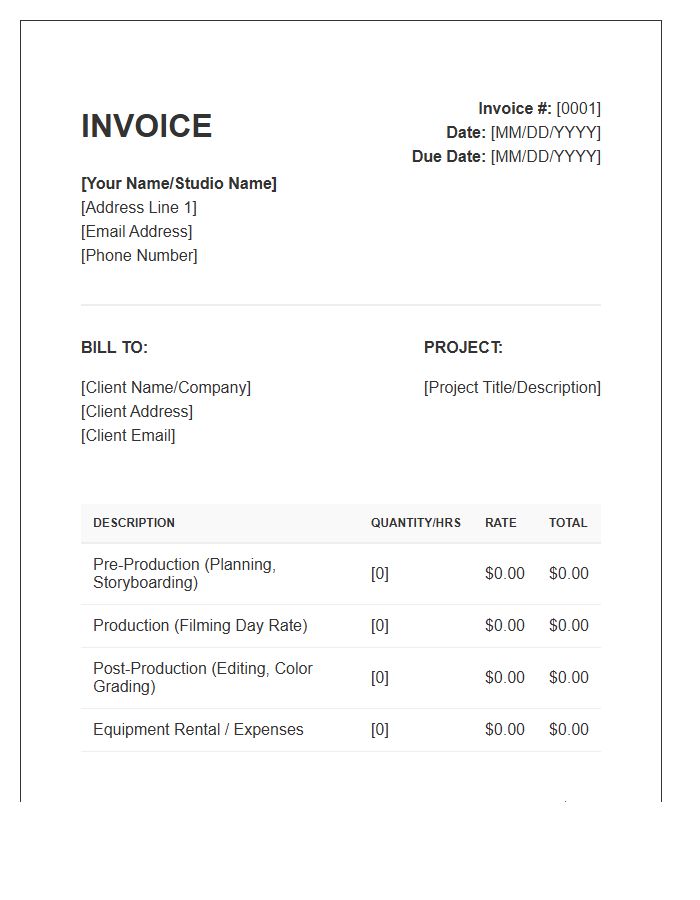 Freelance Videographer Project Invoice Template
