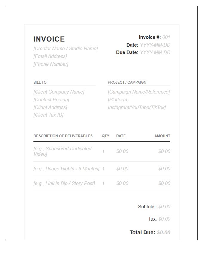 Digital Content Creator Partnership Invoice Template