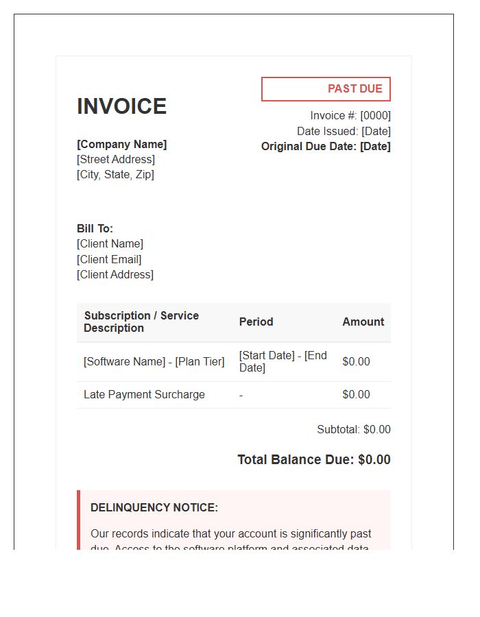 Delinquent Software Account Invoice Template