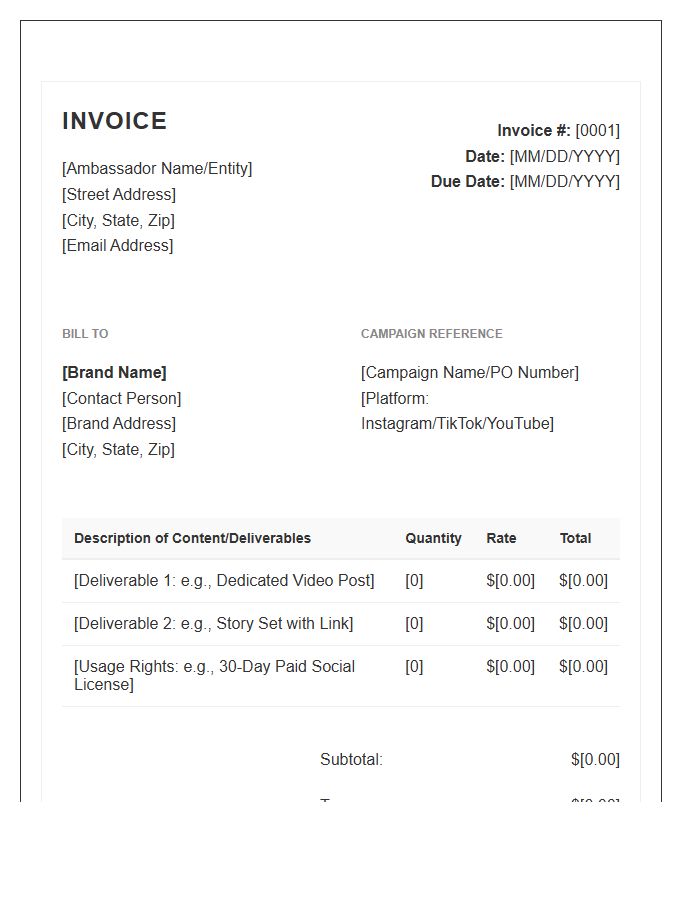 Brand Ambassador Content Partnership Invoice Template
